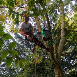 Installing a Treehouse Life Nest Swing project - Products