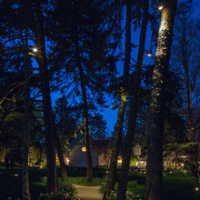 backyard lighting