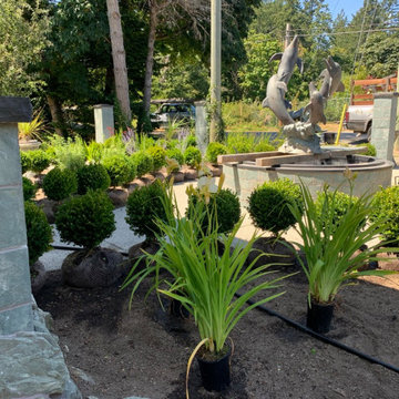 Seaside Plant Design/Install
