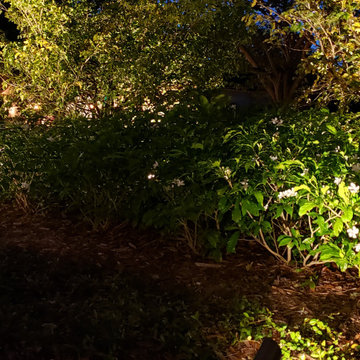 Garden Santuary Landscape Renovation