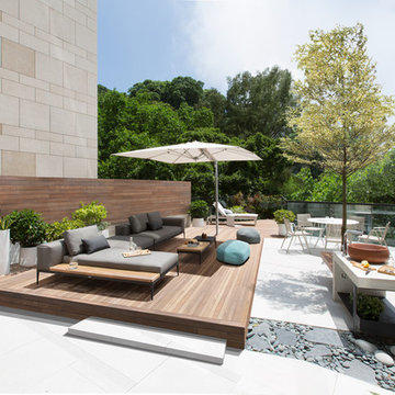 Jump into the Garden