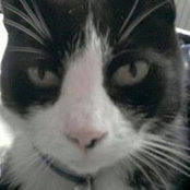 Sylvie Bertram's photo