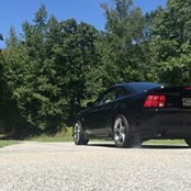Adam Fleeman's photo
