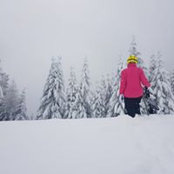 Alexandra Negru's photo
