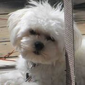 Cori Olson's photo