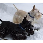 Peg Bailey's photo