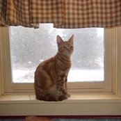Wendy Lampropoulos's photo