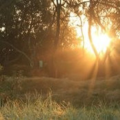 Alice Walton's photo