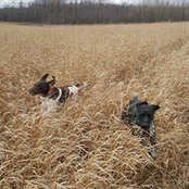 Tamara Whitney's photo