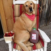 Foto von Brown's Orchard