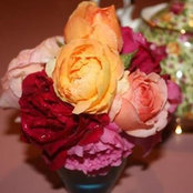 Evelyn Tullos's photo