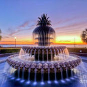 Daniel Vola's photo