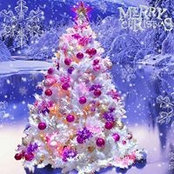 Coleen Schumer's photo