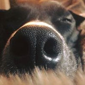 Christopher Madl's photo