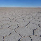Paul Kelly's photo
