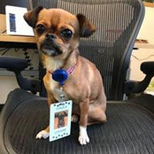 Mollie O'Kane's photo