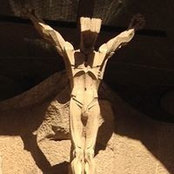 Steve Haigh's photo