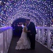 Amanda Becnel's photo
