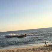 Dianna's photo