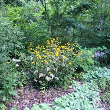 Elder Mountain Woodland Garden