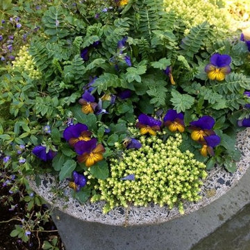 Container Planting Designs
