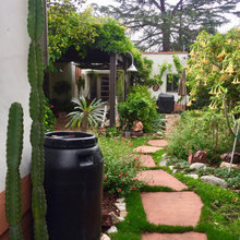 Anna’s Backyard