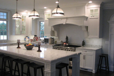 Transitional kitchen photo in Boston