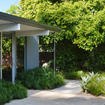 From Mid-Century Classic to the Present