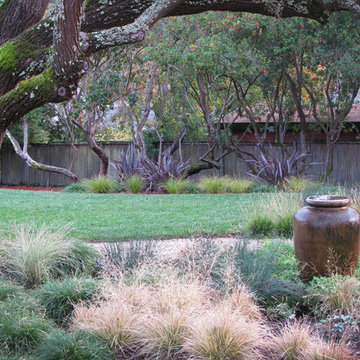 A Look into Our Gardens
