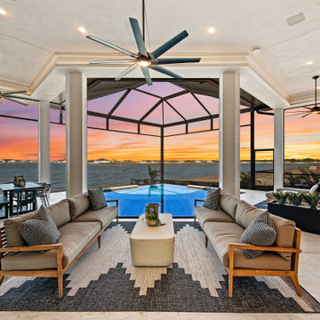 Sand Dollar Model