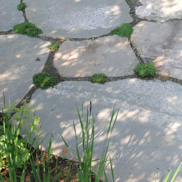 Patios, Terraces, Decks and Walkways