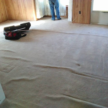 Carpet Stretch Weeping Water