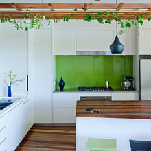 Indoor Plants