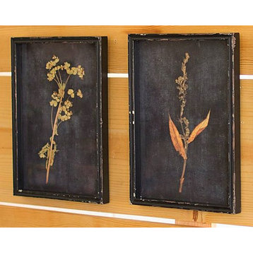 Set of Six Botanical Prints Under Glass