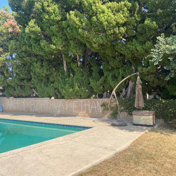 Pool Plaster Before and After