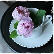 Photo de Mayuko Nakamura