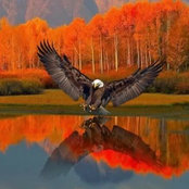 Michelle Jaeckels's photo
