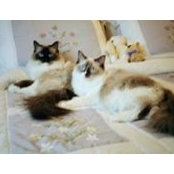 Michelle Polaski's photo