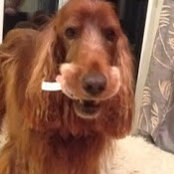 Anthony Woolf's photo