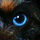 jill_styron_smith