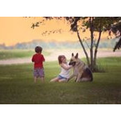 Penny Altendorf's photo