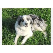 Norma Gilliam's photo