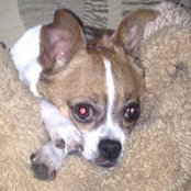 Gina Wellmeyer's photo
