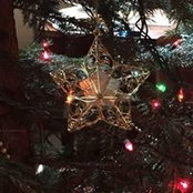 Jolynn Wienen's photo