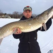 Mike Wienke's photo