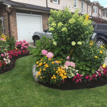 Garden With Bursting Colour