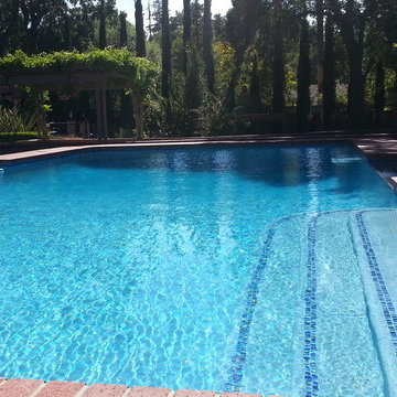 back Yards by Coral Pool and Spa San Jose, Ca