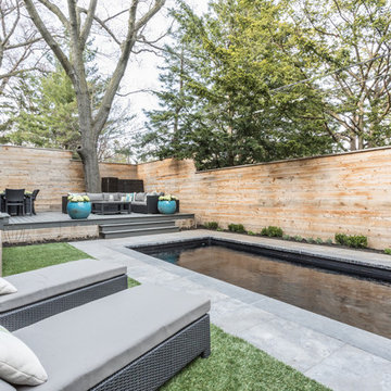 Urban Backyard Retreat