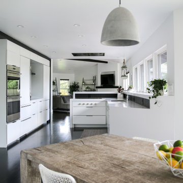 Lake Oswego Modern