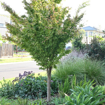 Pollinator Haven